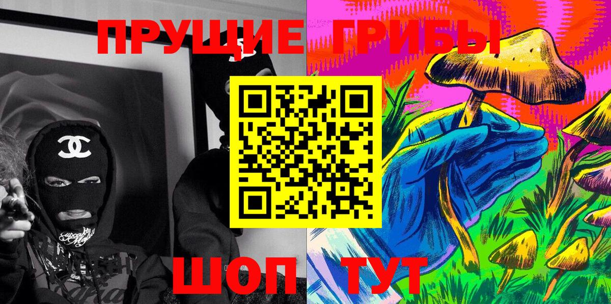 Псилоцибиновые грибы Psilocybe Балашиха