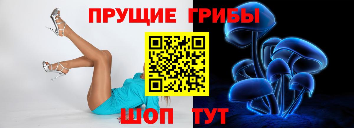 Балашиха  Галлюциногенные грибы MAGIC MUSHROOMS  Вход с VPN 